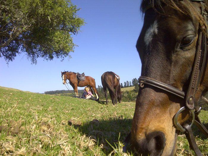 Marvellous Africa - horseXperiences™ GO EQUESTRIAN