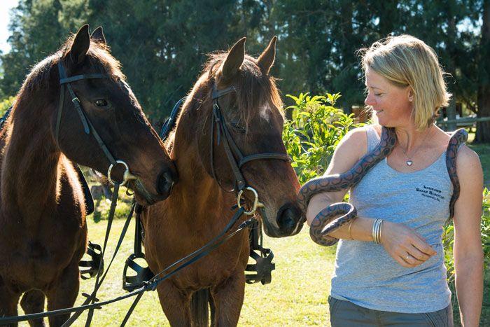 Marvellous Africa - horseXperiences™ GO EQUESTRIAN