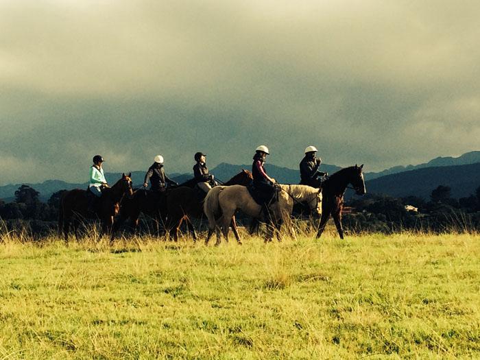 Marvellous Africa - horseXperiences™ GO EQUESTRIAN