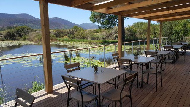 Marvellous Africa - horseXperiences™ GO EQUESTRIAN