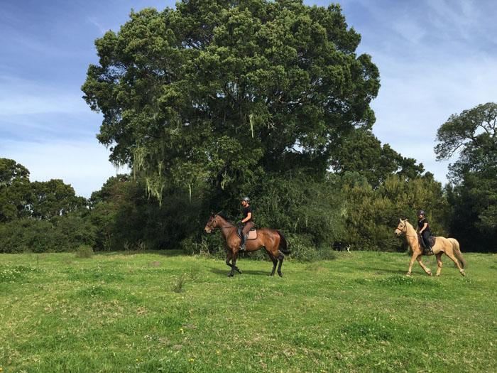 Marvellous Africa - horseXperiences™ GO EQUESTRIAN