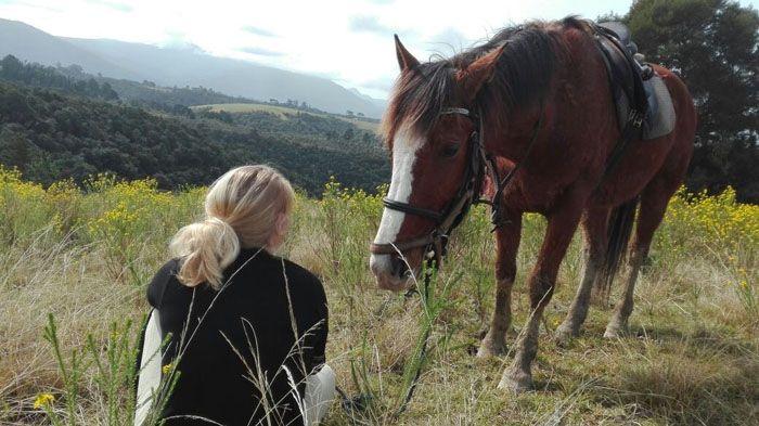 Marvellous Africa - horseXperiences™ GO EQUESTRIAN