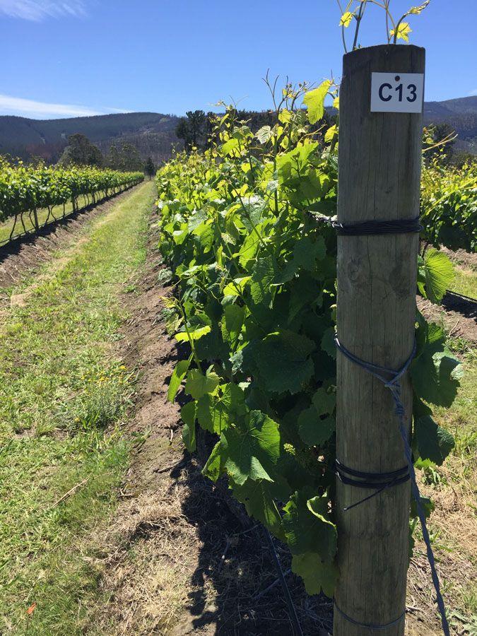 Marvellous Africa - horseXperiences™ GO EQUESTRIAN