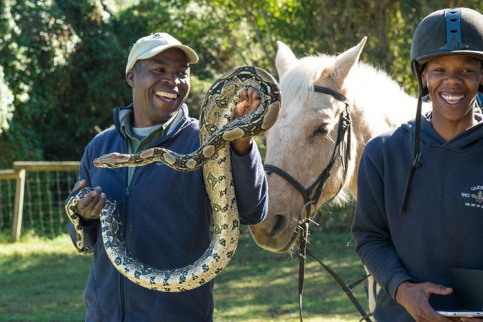 Marvellous Africa - horseXperiences™ GO EQUESTRIAN