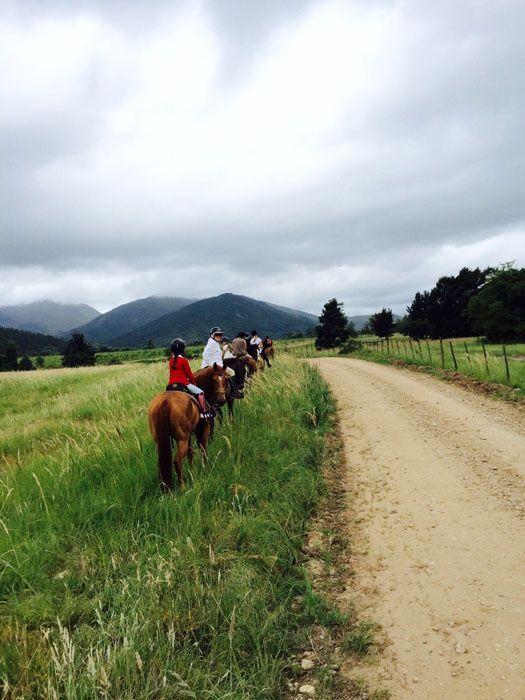 Marvellous Africa - horseXperiences™ GO EQUESTRIAN