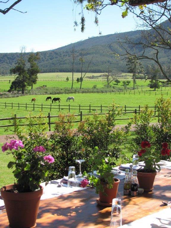 Marvellous Africa - horseXperiences™ GO EQUESTRIAN