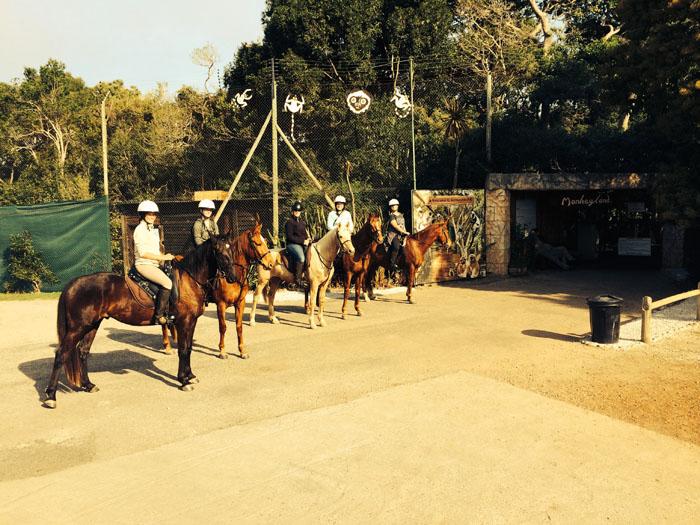 Marvellous Africa - horseXperiences™ GO EQUESTRIAN