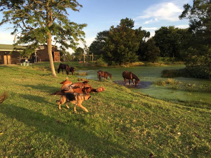 Marvellous Africa - horseXperiences™ GO EQUESTRIAN