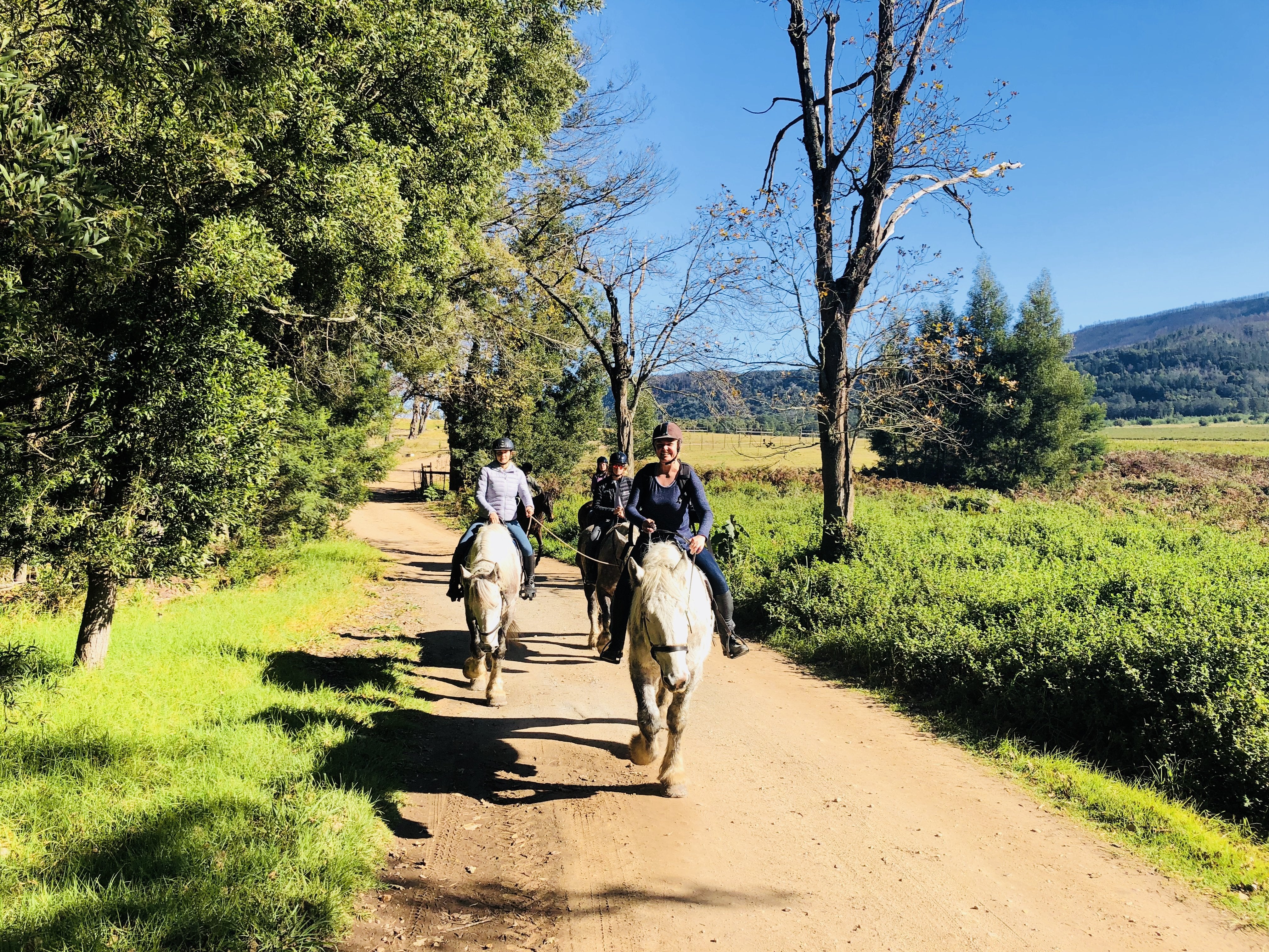 Marvellous Africa - horseXperiences™ GO EQUESTRIAN