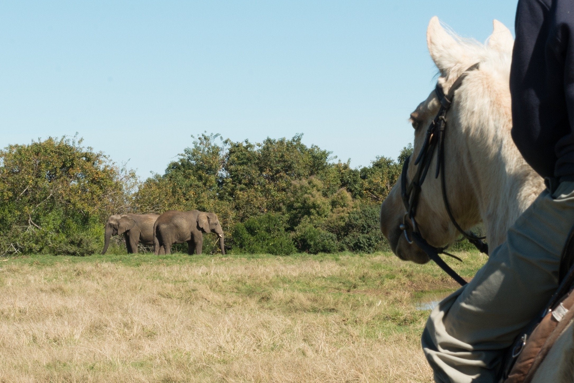Marvellous Africa - horseXperiences™ GO EQUESTRIAN