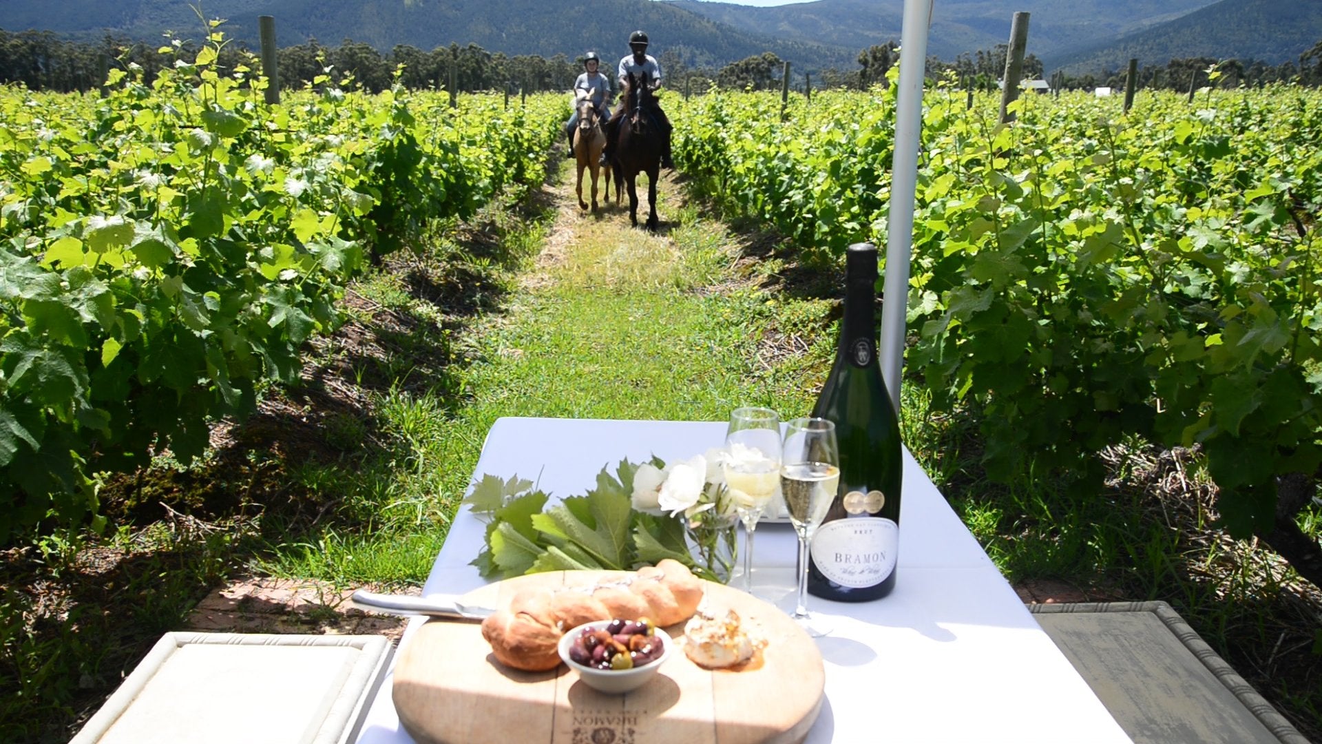 Marvellous Africa - horseXperiences™ GO EQUESTRIAN