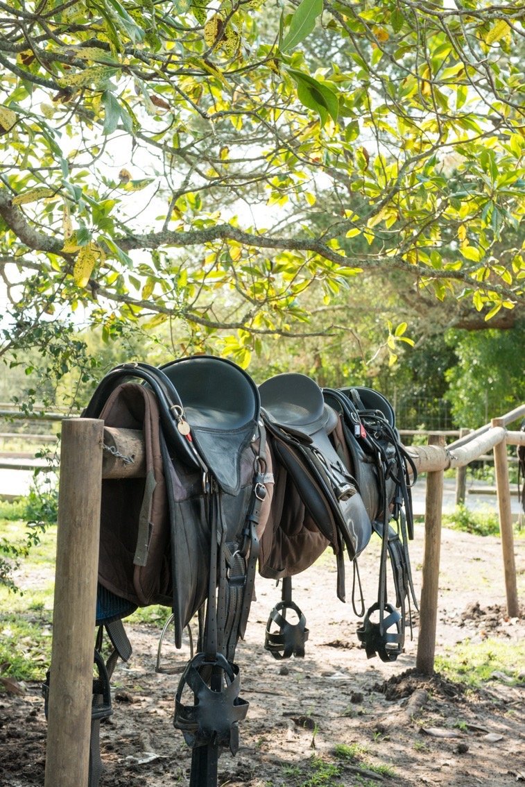 Marvellous Africa - horseXperiences™ GO EQUESTRIAN