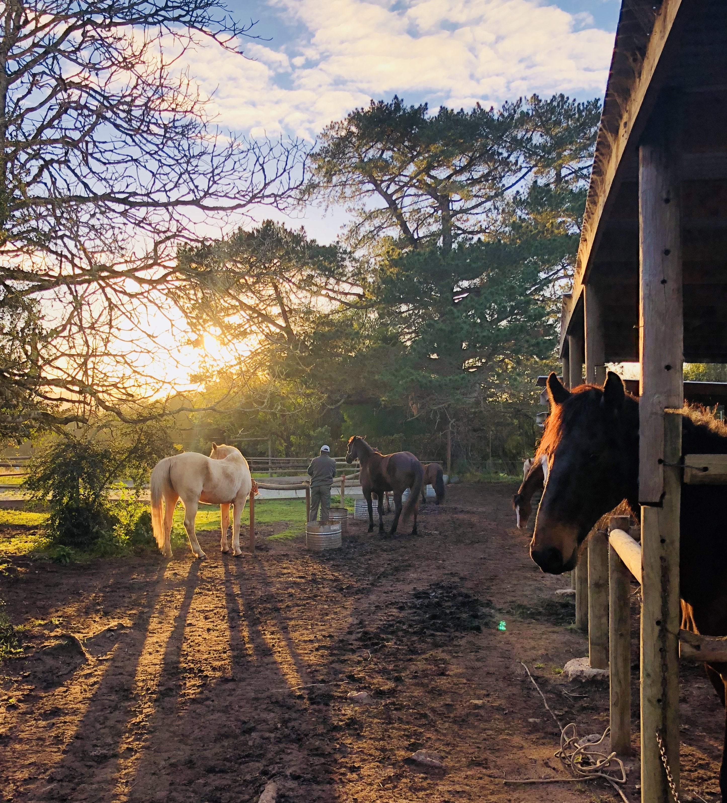 Marvellous Africa - horseXperiences™ GO EQUESTRIAN