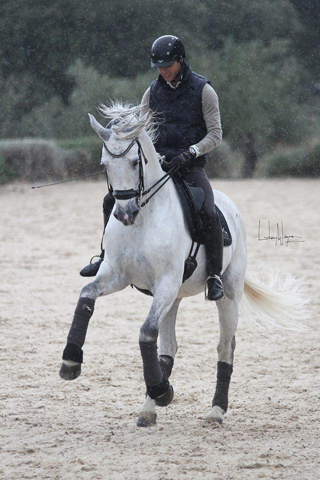 Málaga's eXclusive Eco-Luxury - horseXperiences™ GO EQUESTRIAN