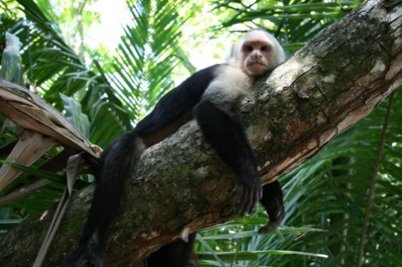 Tropical Discovery - horseXperiences™ GO EQUESTRIAN