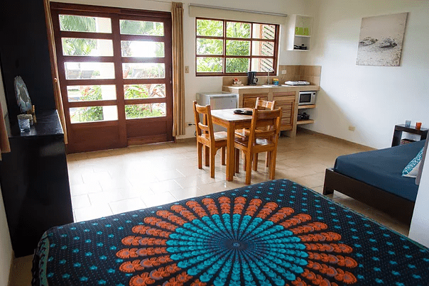 Tropical Exhale - horseXperiences™ GO EQUESTRIAN