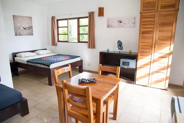 Tropical Exhale - horseXperiences™ GO EQUESTRIAN