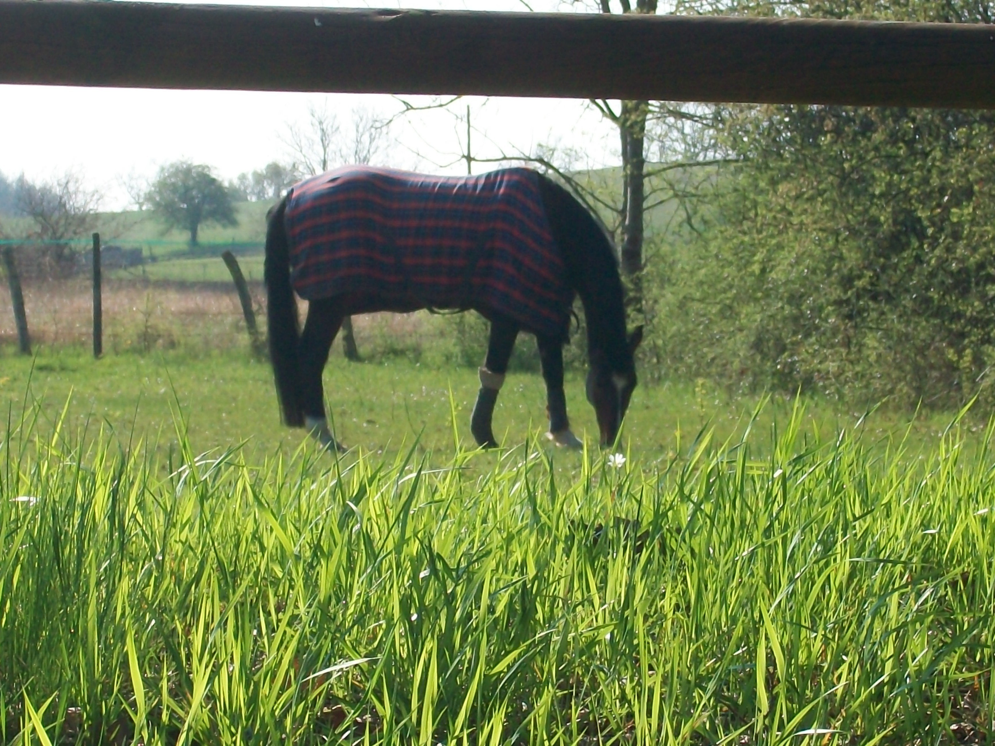 French Sport Training eXperience - horseXperiences™ GO EQUESTRIAN