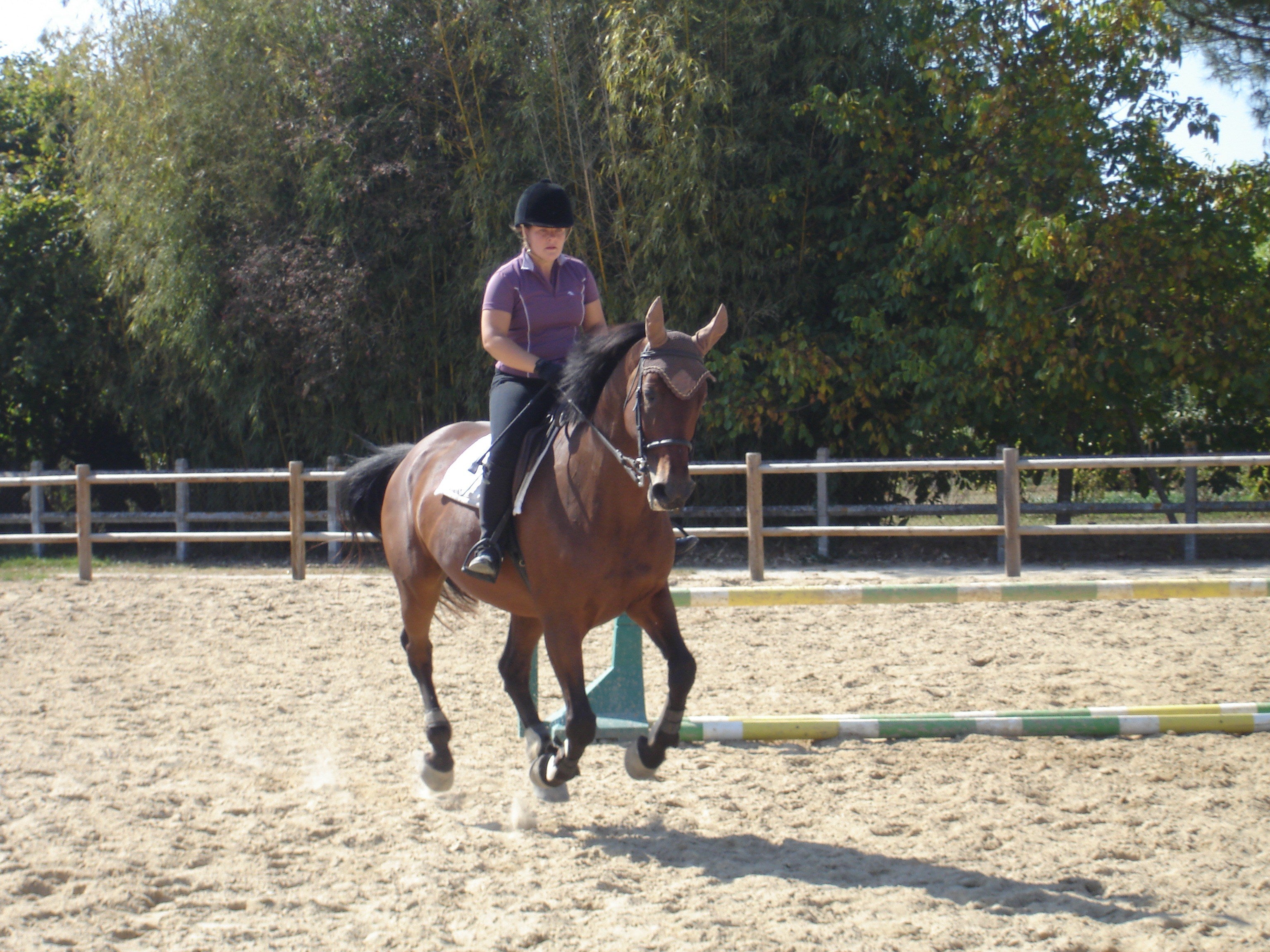 French Sport Training eXperience - horseXperiences™ GO EQUESTRIAN