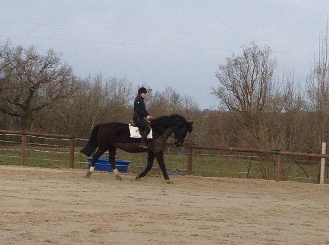 French Sport Training eXperience - horseXperiences™ GO EQUESTRIAN