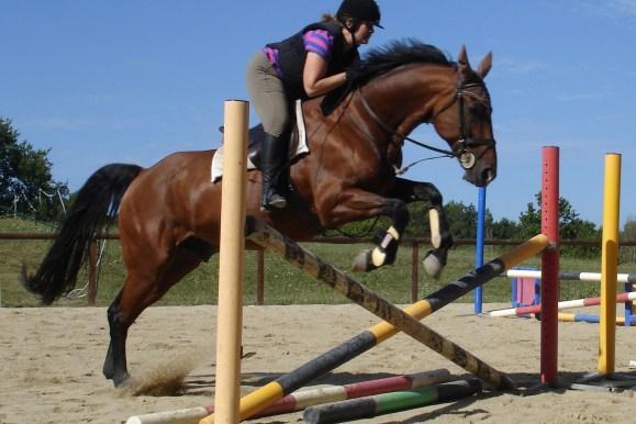 French Sport Training eXperience - horseXperiences™ GO EQUESTRIAN