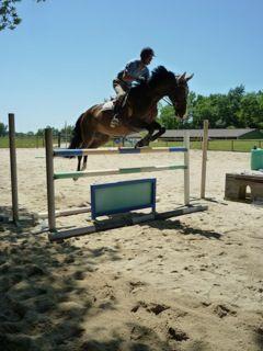 French Sport Training eXperience - horseXperiences™ GO EQUESTRIAN