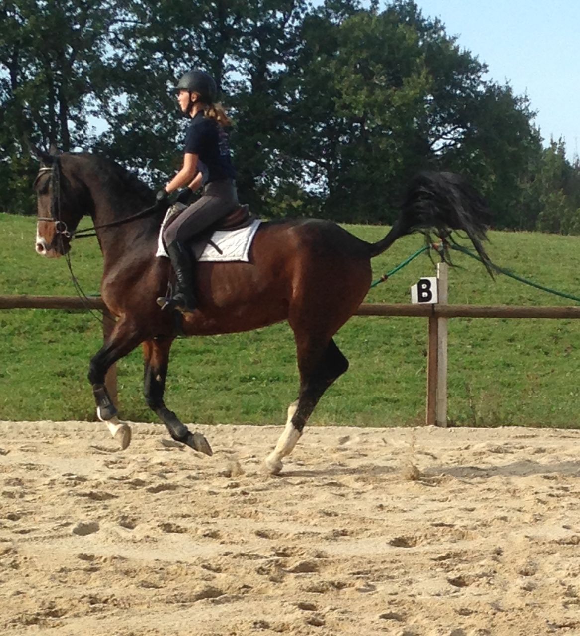French Sport Training eXperience - horseXperiences™ GO EQUESTRIAN