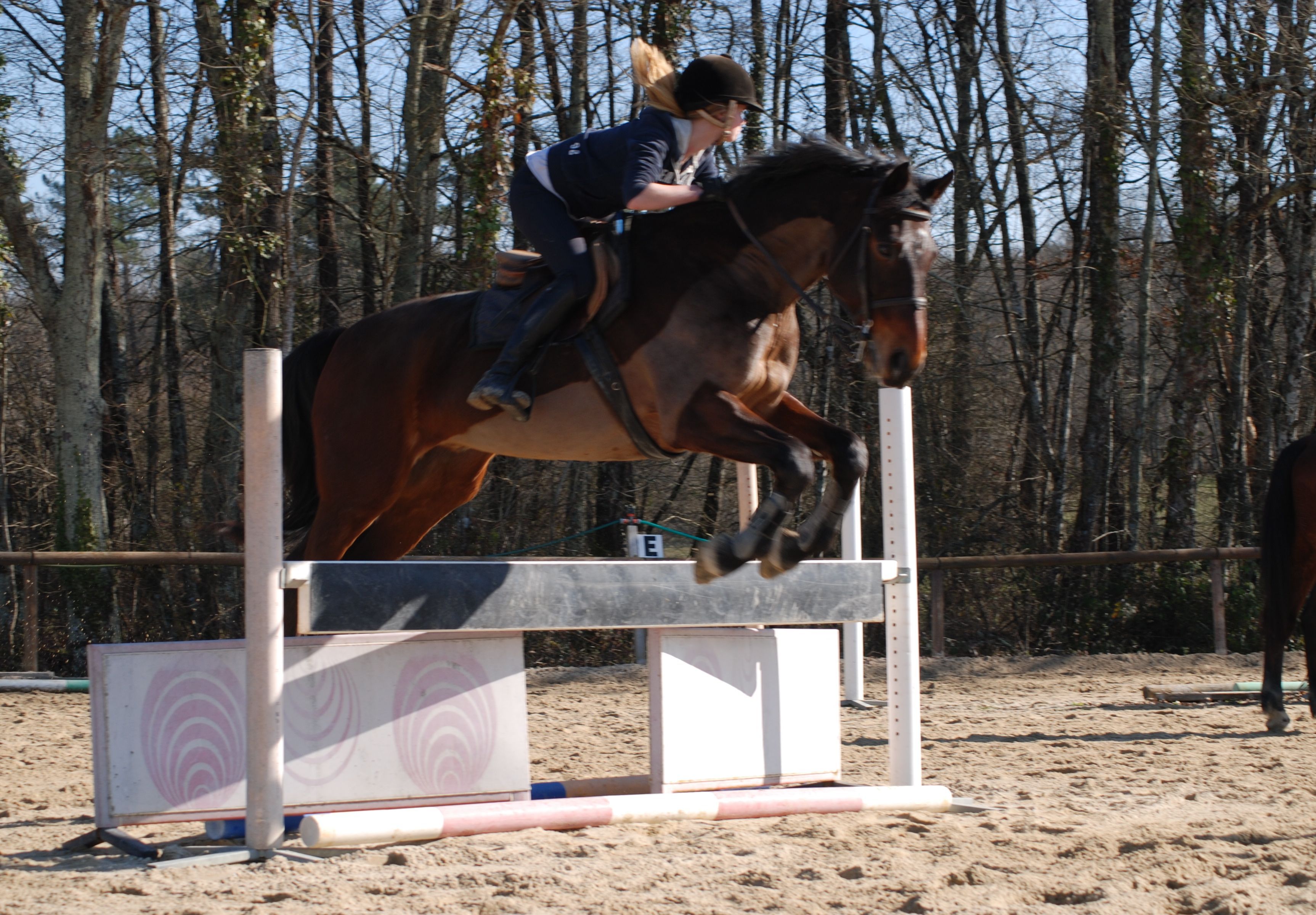 French Sport Training eXperience - horseXperiences™ GO EQUESTRIAN