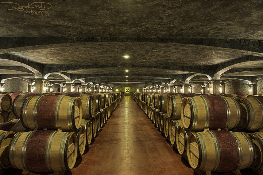 French Sport Training eXperience - horseXperiences™ GO EQUESTRIAN