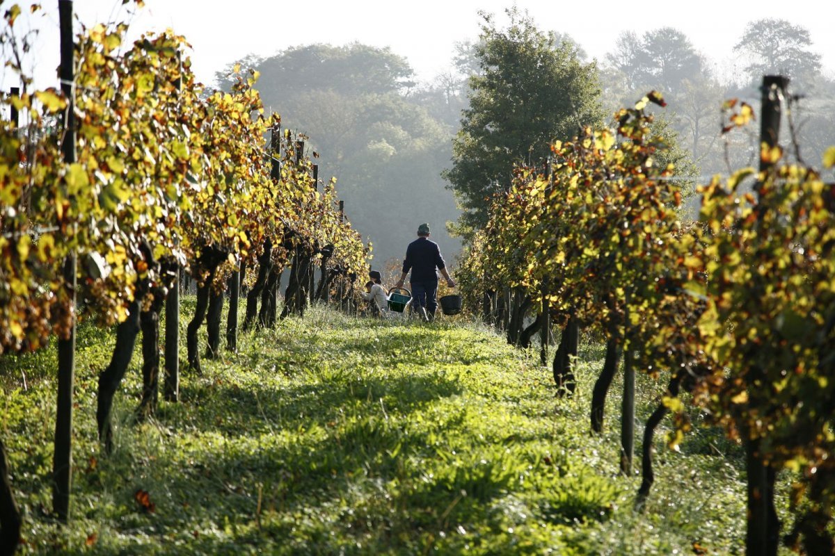 French Sport Training eXperience - horseXperiences™ GO EQUESTRIAN