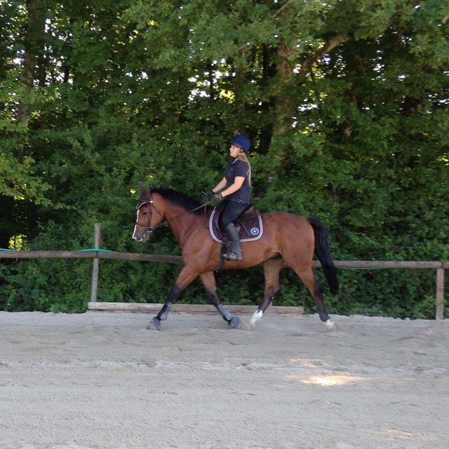 French Sport Training eXperience - horseXperiences™ GO EQUESTRIAN