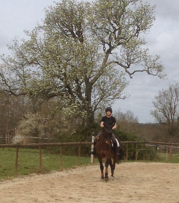 French Sport Training eXperience - horseXperiences™ GO EQUESTRIAN