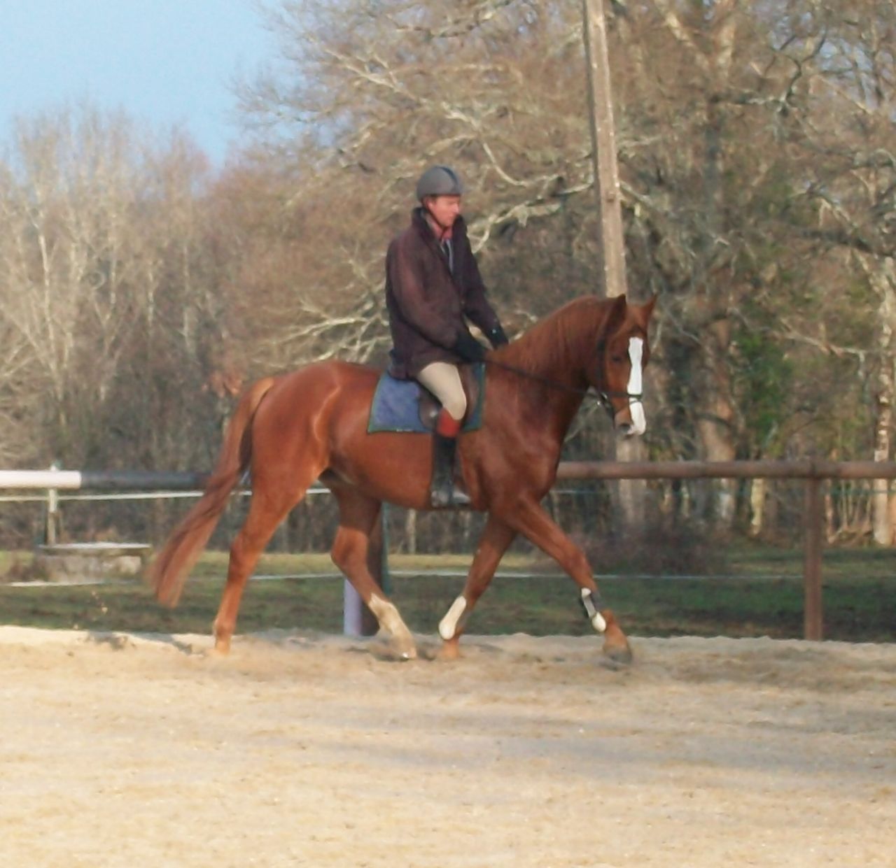 French Sport Training eXperience - horseXperiences™ GO EQUESTRIAN