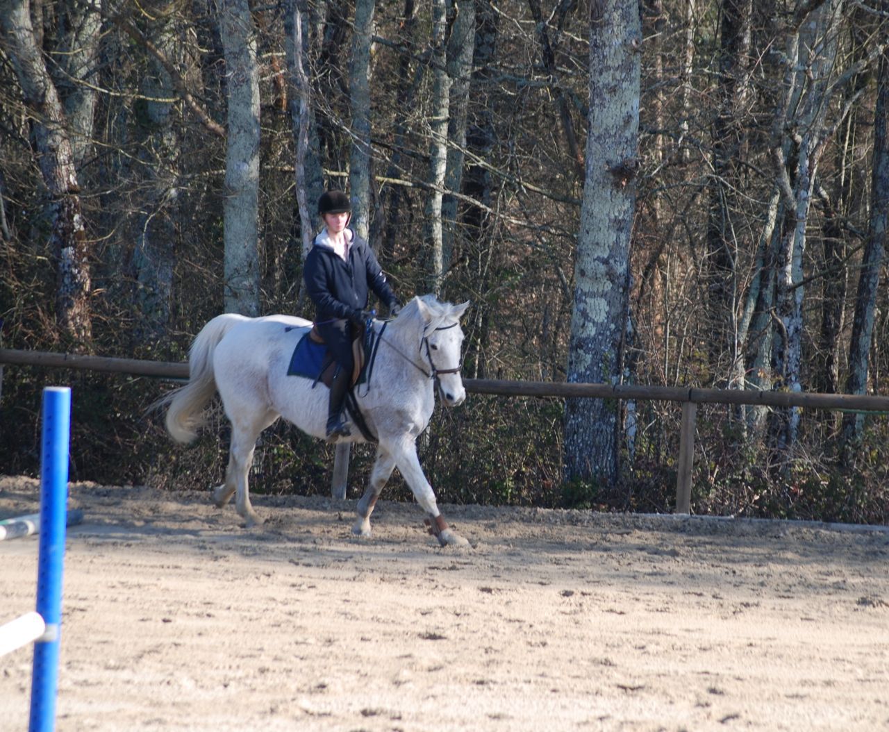 French Sport Training eXperience - horseXperiences™ GO EQUESTRIAN
