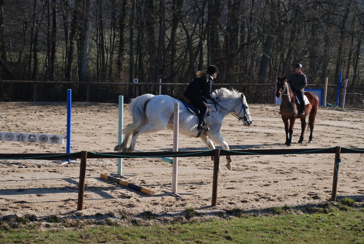 French Sport Training eXperience - horseXperiences™ GO EQUESTRIAN