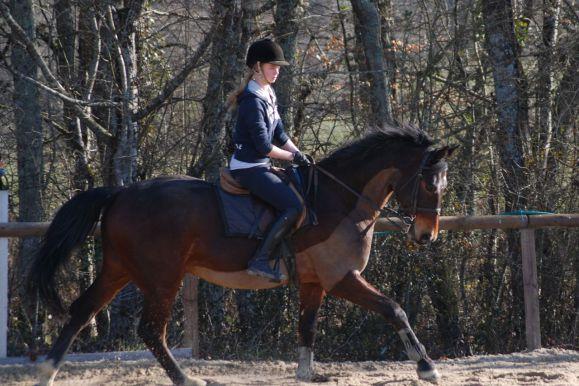 French Sport Training eXperience - horseXperiences™ GO EQUESTRIAN
