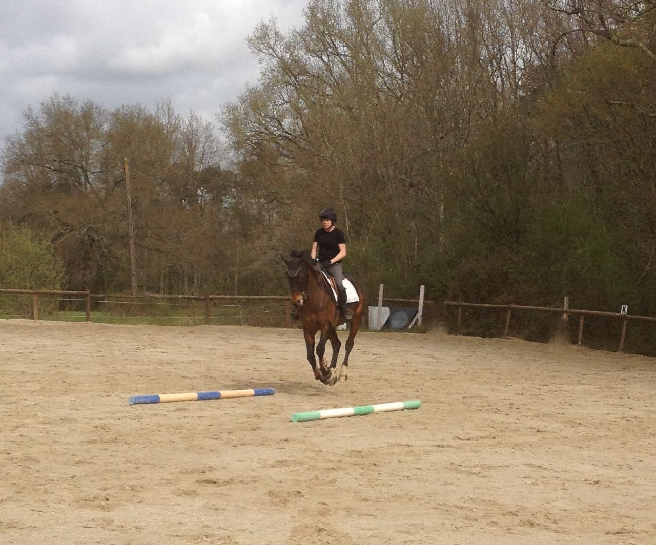 French Sport Training eXperience - horseXperiences™ GO EQUESTRIAN