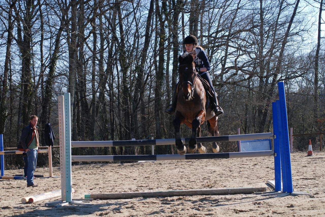 French Sport Training eXperience - horseXperiences™ GO EQUESTRIAN