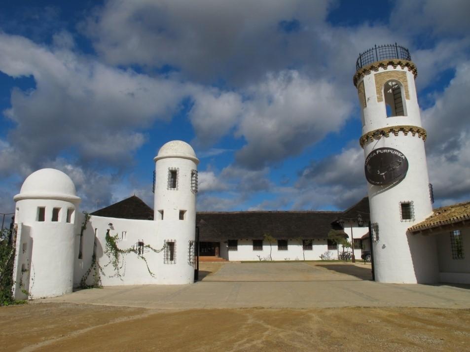 The Taste of Andalucia - horseXperiences™ GO EQUESTRIAN