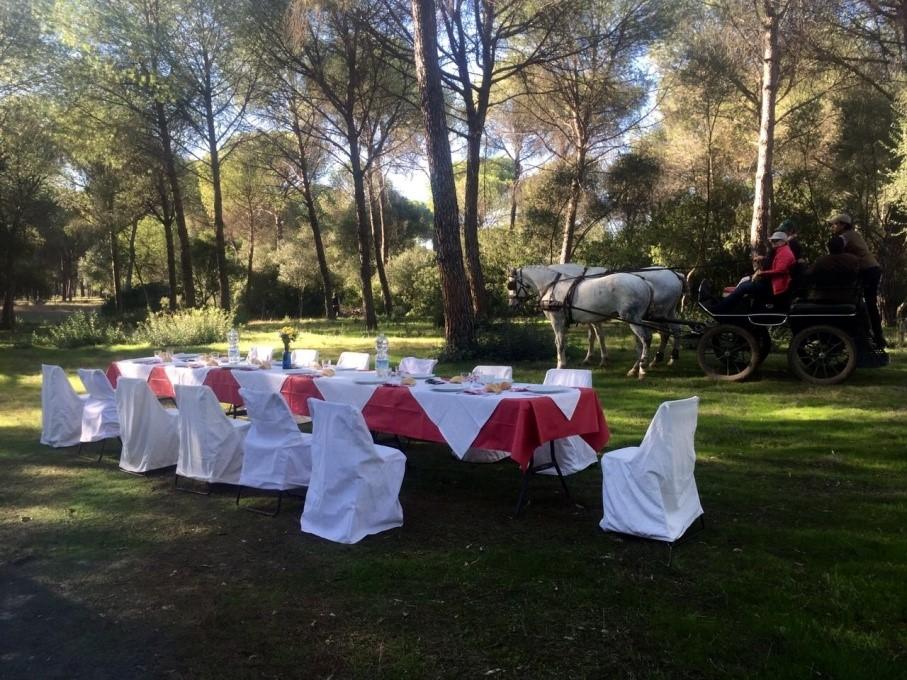 The Taste of Andalucia - horseXperiences™ GO EQUESTRIAN