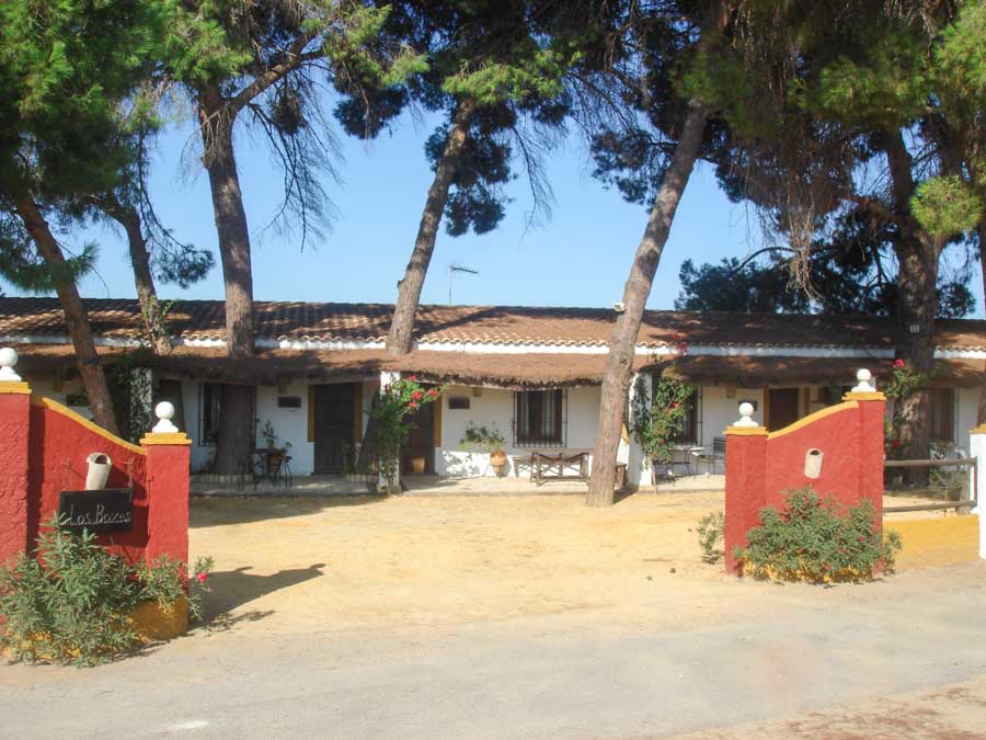 The Taste of Andalucia - horseXperiences™ GO EQUESTRIAN