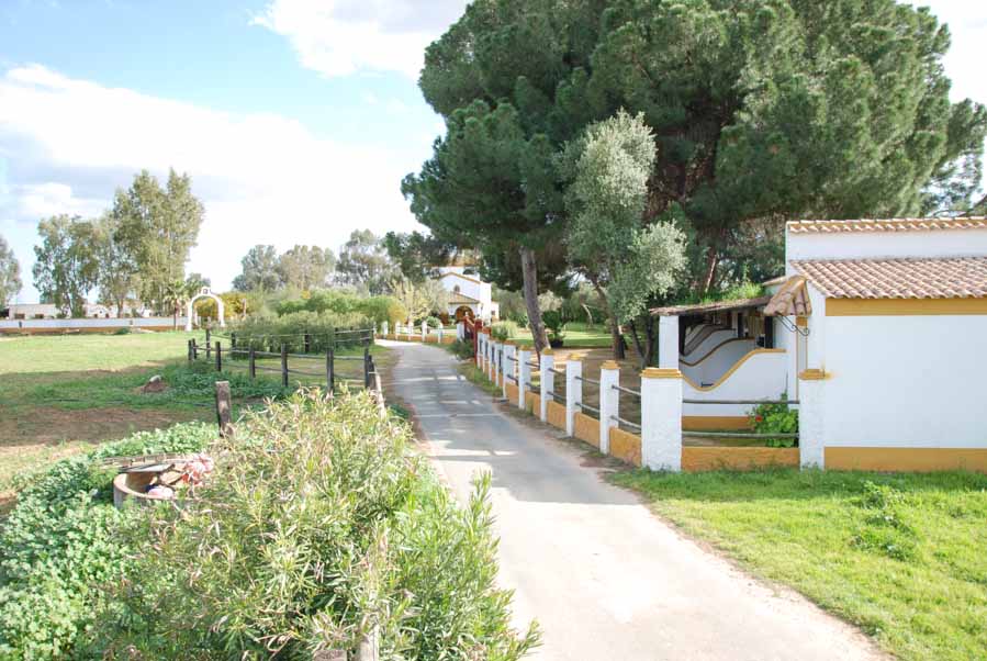 The Taste of Andalucia - horseXperiences™ GO EQUESTRIAN