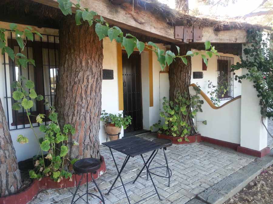 The Taste of Andalucia - horseXperiences™ GO EQUESTRIAN