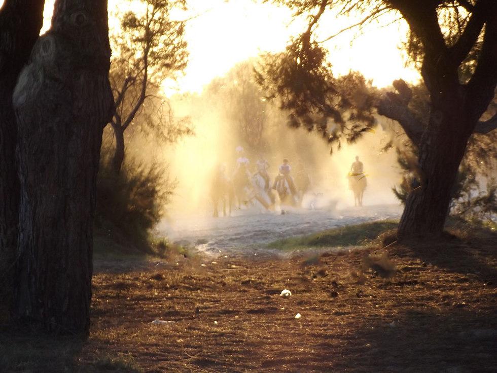 The Taste of Andalucia - horseXperiences™ GO EQUESTRIAN