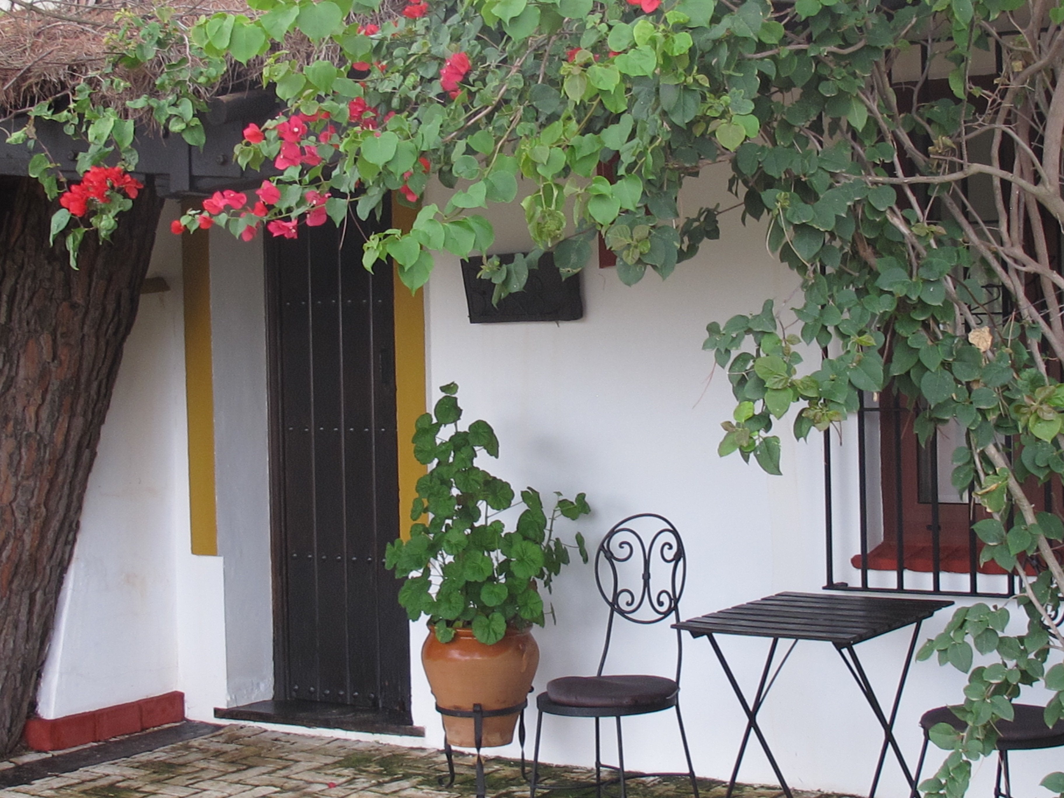 The Taste of Andalucia - horseXperiences™ GO EQUESTRIAN