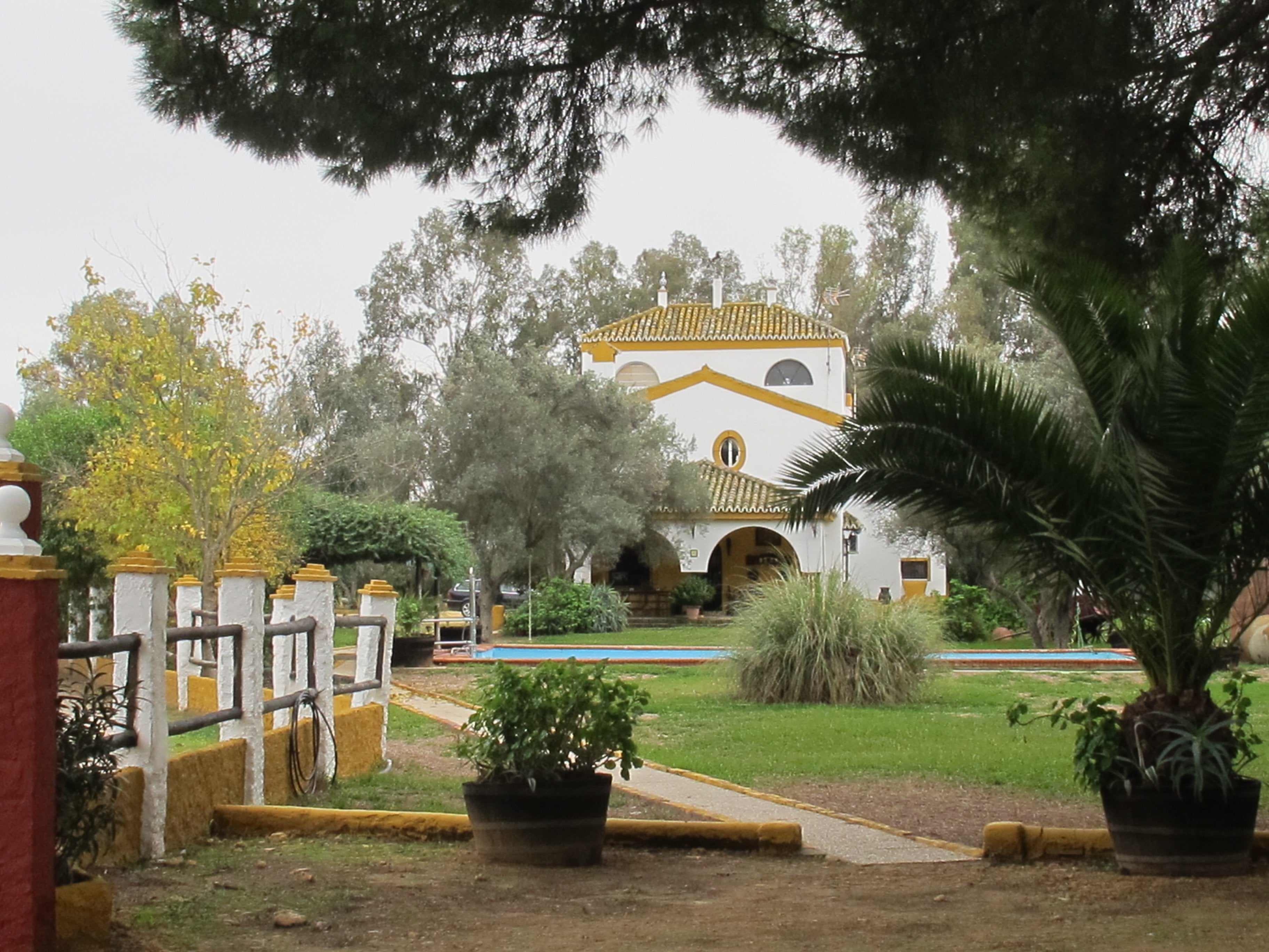 The Taste of Andalucia - horseXperiences™ GO EQUESTRIAN