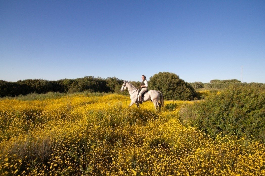 The Taste of Andalucia - horseXperiences™ GO EQUESTRIAN
