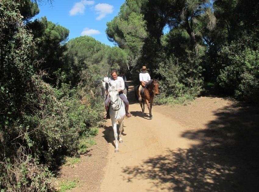 The Taste of Andalucia - horseXperiences™ GO EQUESTRIAN