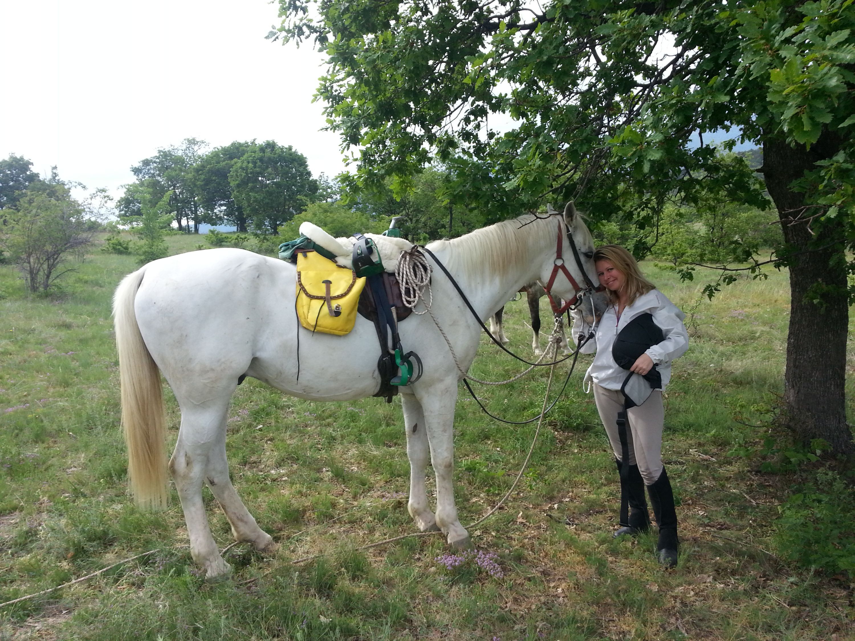 The Kingdom of The Thracians - horseXperiences™ GO EQUESTRIAN