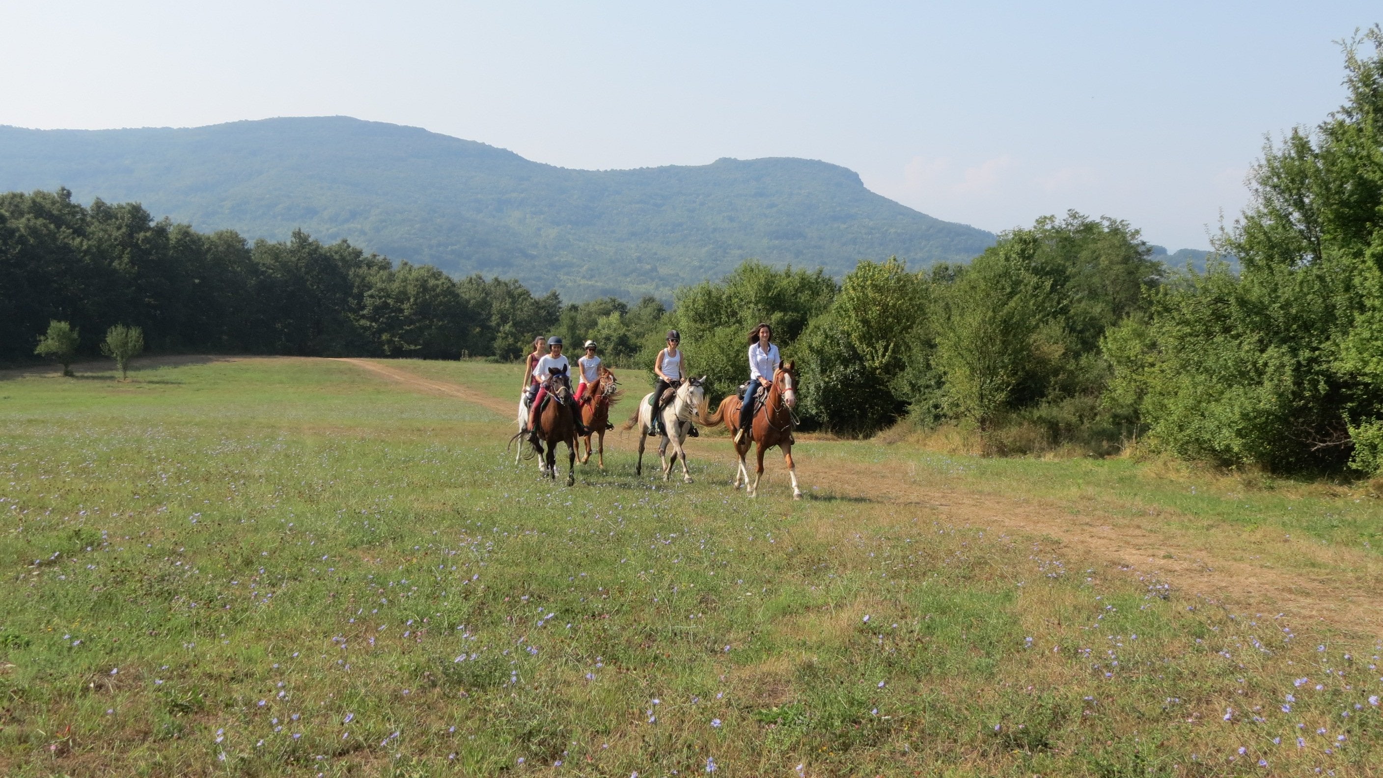 Central Balkan National Park - horseXperiences™ GO EQUESTRIAN